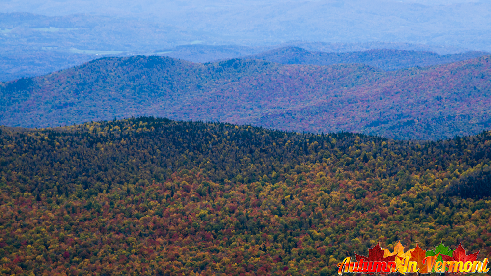 Autumn from Mount Mansfield