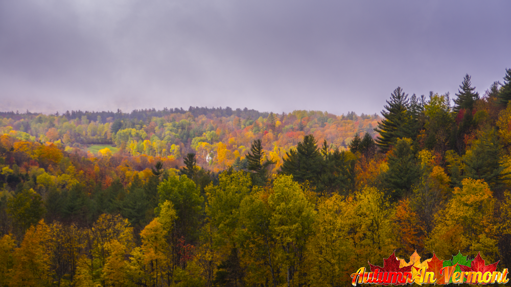 Autumn in Bristol Vermont