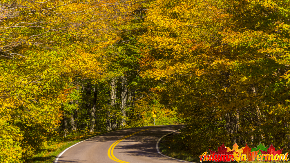 Early Autumn in Smugglers' Notch