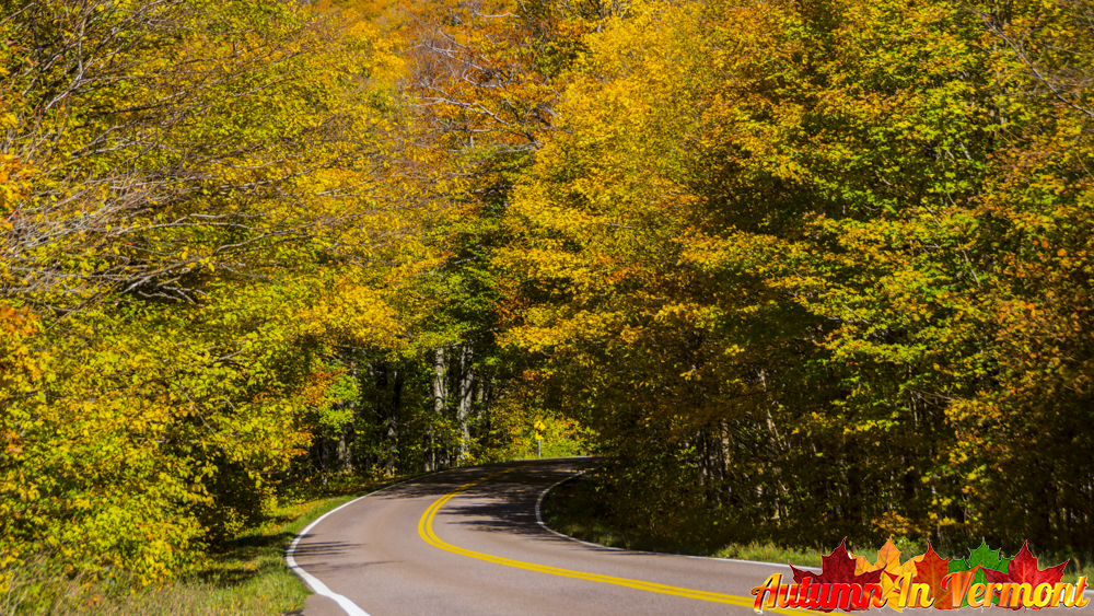 Early Autumn in Smugglers\' Notch