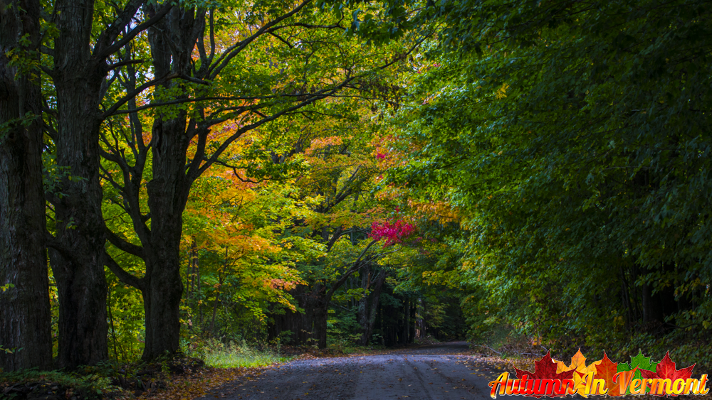 Early Autumn on the back roads of Vermont