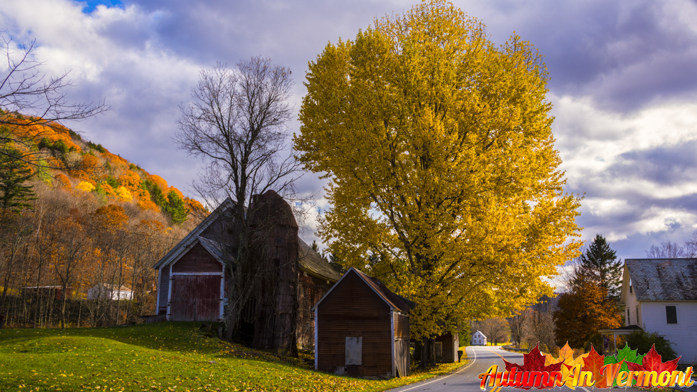 Autumn in Pomfret Vermont