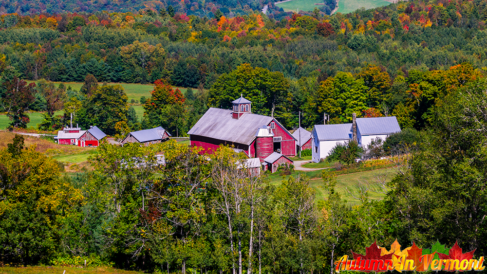 Bogie-Mountain-Farm-Barnet-Vermont-9-18-2020-15