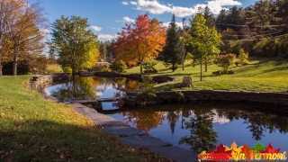 Autumn in Adamant Vermont.