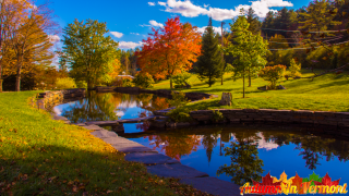 Autumn in Adamant Vermont.
