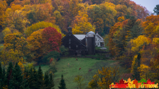 Autumn in East Montpelier Vermont