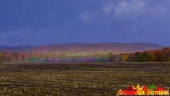 Autumn in Morristown Vermont