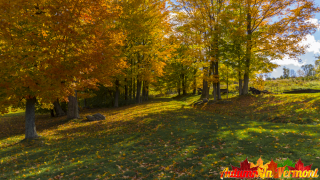Autumn in Waitsfield Vermont