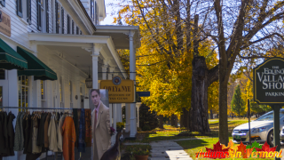 Autumn in Manchester Vermont