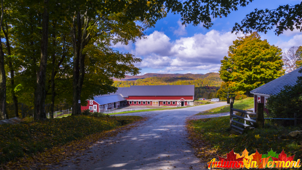 Autumn in Reading Vermont