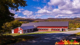 Autumn in Reading Vermont