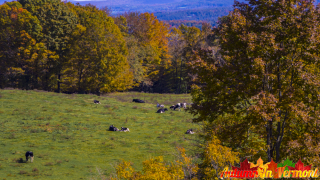 Autumn near Montpelier Vermont