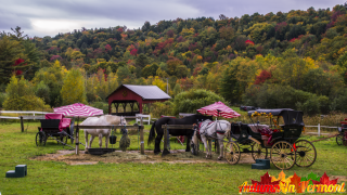 Autumn in Stowe Vermont