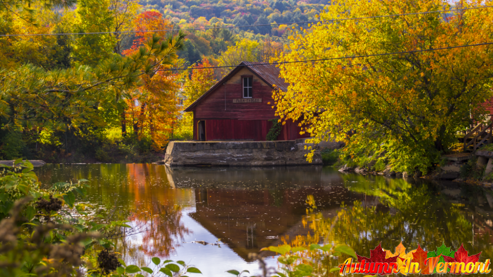 Autumn near Waterbury Vermont