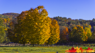 Autumn in Woodstock Vermont