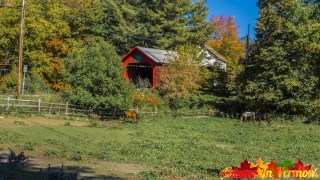 Early Autumn in Northfield Vermont