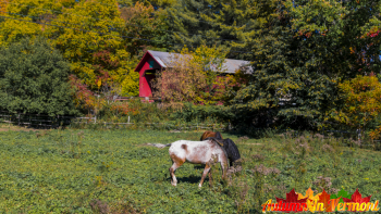 Early Autumn in Northfield Vermont