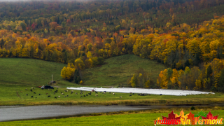 Autumn in Danville Vermont