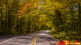 Early Autumn in Smugglers\' Notch