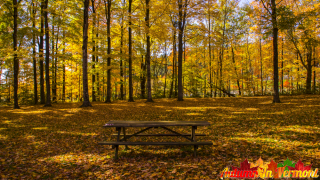 Autumn in Stowe Vermont
