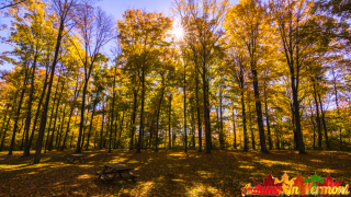 Autumn in Stowe Vermont