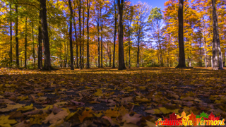 Autumn in Stowe Vermont