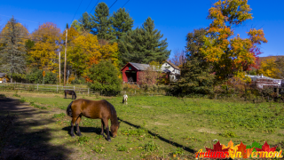 Autumn in Northfield Vermont