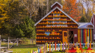Autumn near Stowe Vermont
