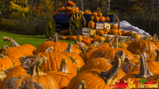 Autumn near Stowe Vermont