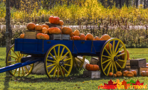 Autumn near Stowe Vermont