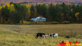 Autumn near Waitsfield Vermont