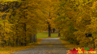 Autumn on the back roads of Vermont