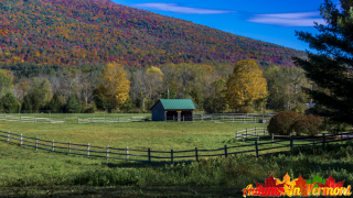 Autumn near Manchester Vermont