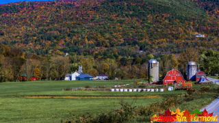 Autumn in West Arlington Vermont
