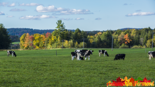 Early Autumn in Enosburg Vermont