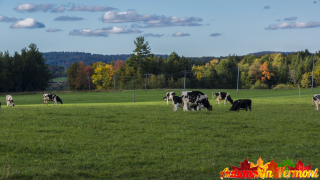 Early Autumn in Enosburg Vermont