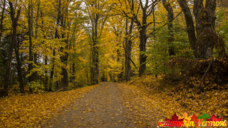 Autumn near Montpelier Vermont