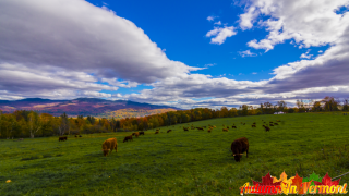 Autumn in Stowe Vermont
