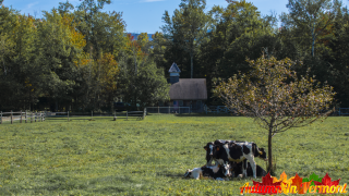Early Autumn in Stowe Vermont