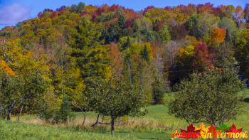 Autumn in East Burke Vermont