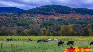 Autumn in Waitsfield Vermont