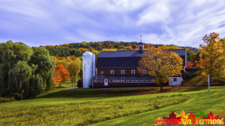 Autumn in Sudbury Vermont