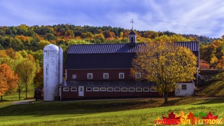 Autumn in Sudbury Vermont