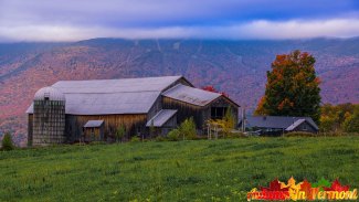Bragg-Farm-Fayston-Vermont-10-9-2021-29