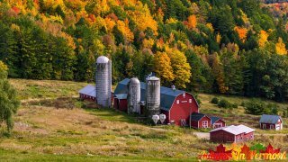 Hillside-Acres-Farm-Barnet-Vermont-October-4-2022-26