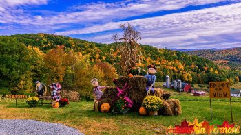 Hillside-Acres-Farm-Barnet-Vermont-October-4-2022-4