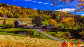 Autumn at the Sleepy Hollow Farm.