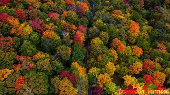 Stowe-Vermont-10-1-2021-56