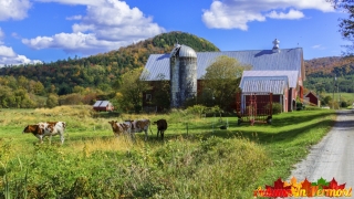 Tunbridge-Vermont-Covered-Bridges-9-26-2025-42