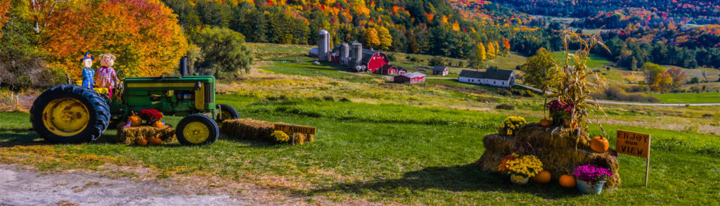 Hillside Acres Farm